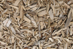 biomass boilers Netheravon